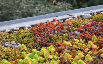 the cost of Clady green roof installation
