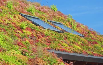 Clady living roof systems