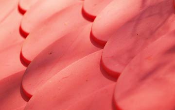 Clady plastic roof costs