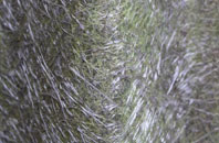 Clady fibreglass roof work